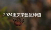 2024重慶榮昌區(qū)種植牙價格表,榮昌醫(yī)院種植牙價格含一顆及半全口