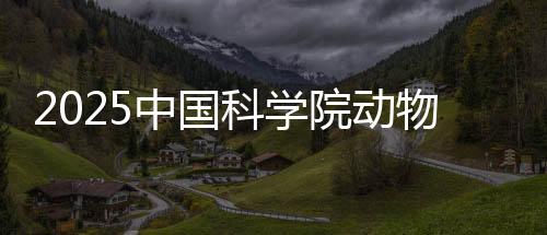 2025中國(guó)科學(xué)院動(dòng)物研究所招收春季入學(xué)博士研究生擬錄取結(jié)果公示