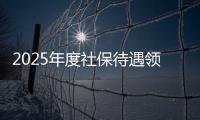 2025年度社保待遇領取資格認證開始