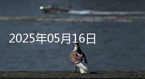2025年05月16日中藥品種保護受理公示