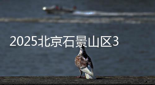 2025北京石景山區300萬跨年迎新消費券發放時間