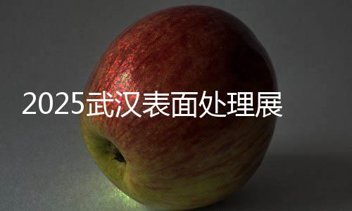 2025武漢表面處理展