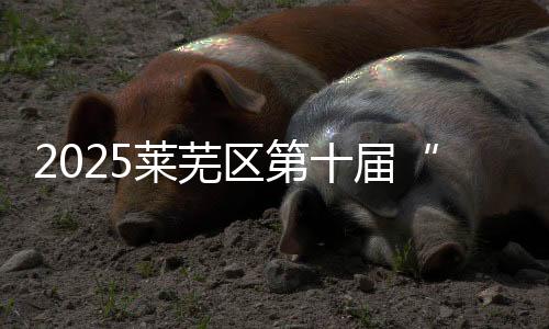 2025萊蕪區(qū)第十屆“萬步有約”暨健康體重管理年活動(dòng)啟動(dòng)