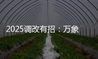 2025調(diào)改有招：萬(wàn)象城/大悅城/龍湖天街“爆改術(shù)”大賞