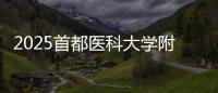 2025首都醫科大學附屬北京安定醫院招聘46人公告（二）