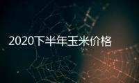 2020下半年玉米價格預測 玉米價格會漲還是會跌？
