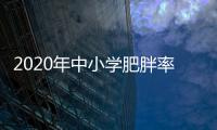 2020年中小學肥胖率超10%：孩子一旦胖起來，究竟會有多危險？