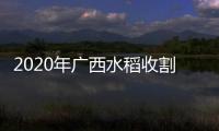 2020年廣西水稻收割時(shí)間表