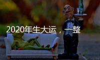 2020年生大運，一整年富貴無憂的生肖人