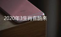 2020年3生肖喜鵲來(lái)報(bào)喜，求財(cái)?shù)秘?cái)能富貴，求子得子喜當(dāng)?shù)?/></div></a><var date-time=