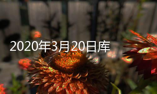 2020年3月20日庫存及庫存天數,經驗交流