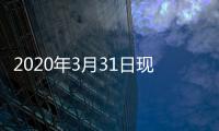 2020年3月31日現貨市場月報,經驗交流