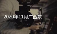 2020年11月廣西東蘭縣命案