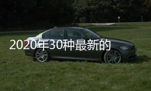 2020年30種最新的WhatsApp隱藏功能