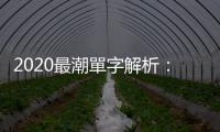 2020最潮單字解析：「網紅」的英文怎麼說？