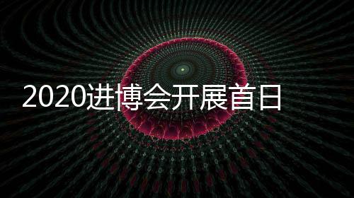2020進博會開展首日，普洛斯亮點搶先看