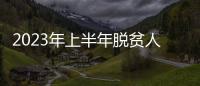 2023年上半年脫貧人口務工規模3259萬人