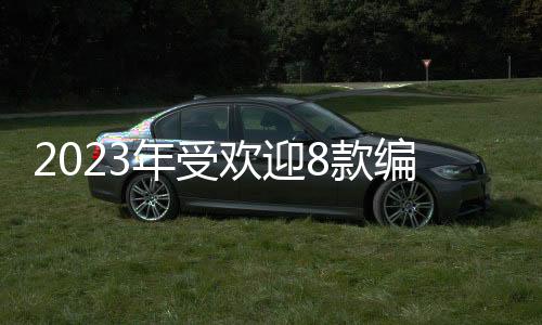 2023年受歡迎8款編程語言排名：Python 第二