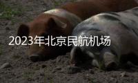 2023年北京民航機場巴士有限公司招聘信息一覽（12月發布）