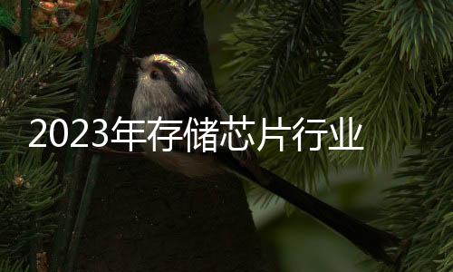 2023年存儲芯片行業十大關鍵詞