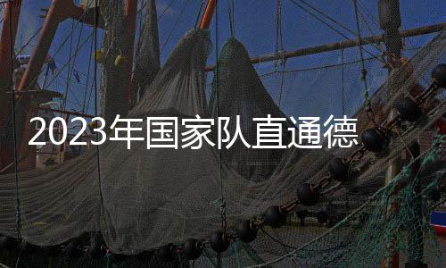 2023年國家隊直通德班馬龍勝梁靖崑進決賽 孫穎莎贏球陳夢傷退！
