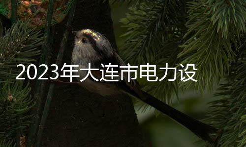 2023年大連市電力設(shè)施保護(hù)宣傳月活動(dòng)圓滿收官