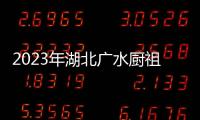 2023年湖北廣水廚祖詹王美食節(jié)啟幕，全城來(lái)品廣水味道