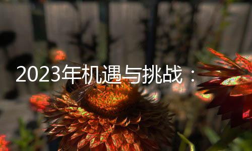 2023年機遇與挑戰：裁員速度逐漸趨緩