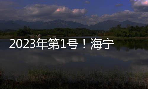 2023年第1號!海寧具體部署這項工作→