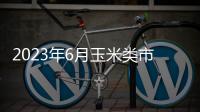 2023年6月玉米類市場展望分析