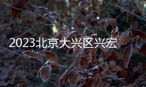 2023北京大興區(qū)興宏雅苑共有產(chǎn)權(quán)住房怎么監(jiān)督管理？