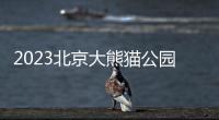 2023北京大熊貓公園招聘公告（附報名方式）