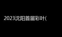 2023沈陽首屆彩葉(銀杏葉)節景城融合 讓人們共享秋韻