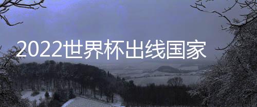 2022世界杯出線國家實(shí)力PK！