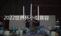 2022世界杯小組賽容易平嗎？隊實力差距大