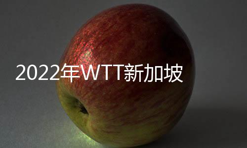 2022年WTT新加坡大滿貫賽樊振東王楚欽3