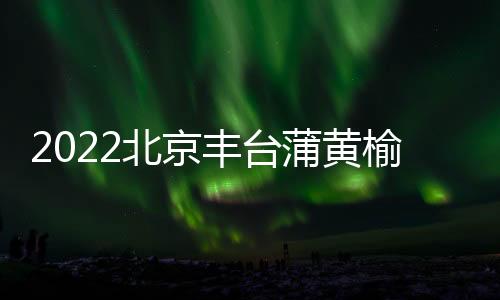 2022北京豐臺蒲黃榆社區衛生服務中心流感疫苗怎么打？