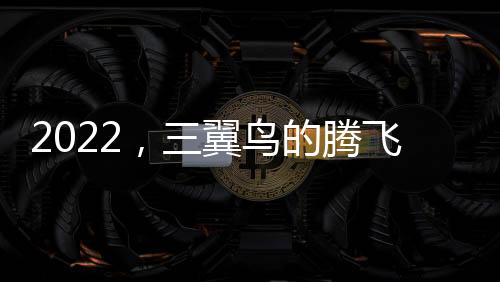 2022，三翼鳥的騰飛才剛剛開始