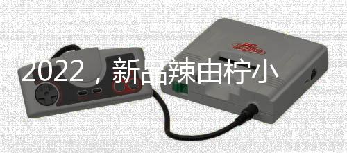 2022，新品辣由檸小青檸汁上市，火成啥樣了！