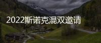 2022斯諾克混雙邀請賽羅伯遜組合4
