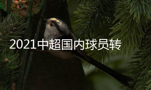 2021中超國內(nèi)球員轉(zhuǎn)會(huì)費(fèi)排行，2021中超國內(nèi)球員轉(zhuǎn)會(huì)費(fèi)排行榜