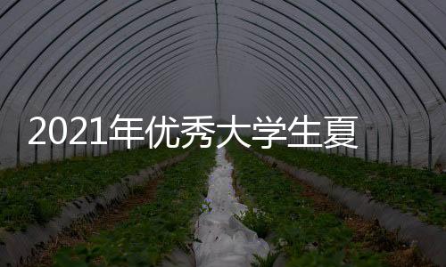 2021年優秀大學生夏令營活動順利舉行