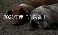 2021年度“廣東省十大軟裝設計師”簡介