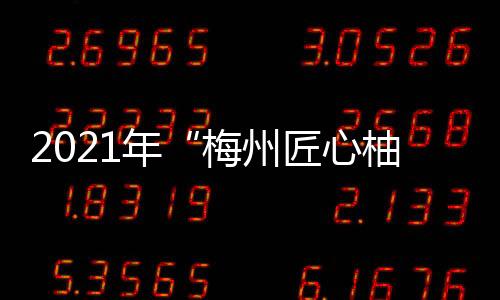 2021年“梅州匠心柚農”和“梅州‘柚’心干部”系列評選活動啟動報名！