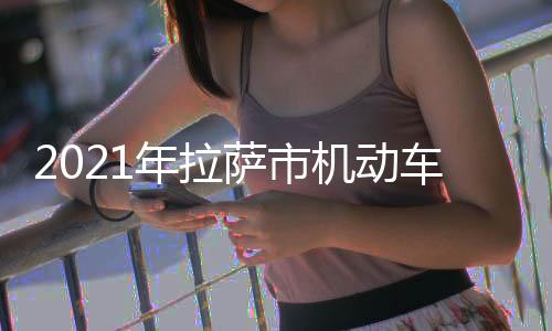 2021年拉薩市機動車污染防治工作成效顯著