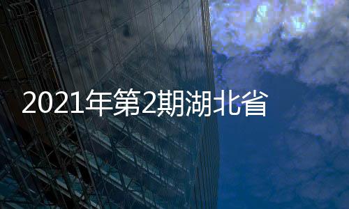 2021年第2期湖北省藥品質量抽檢結果公布 13批次不符合標準
