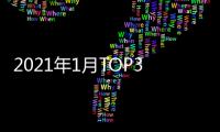 2021年1月TOP30轎車銷量投訴量對應點評