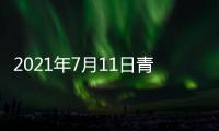 2021年7月11日青海省新型冠狀病毒肺炎疫情情況