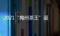 2021“梅州茶王”誕生！這些“茶王”，你都喝過嗎？