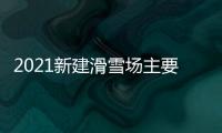 2021新建滑雪場主要運輸裝置景區滑雪魔毯
